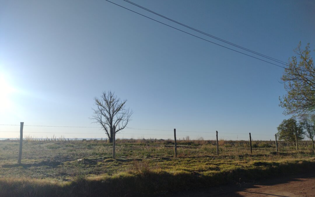 Viernes con leve descenso de la temperatura en Mendoza