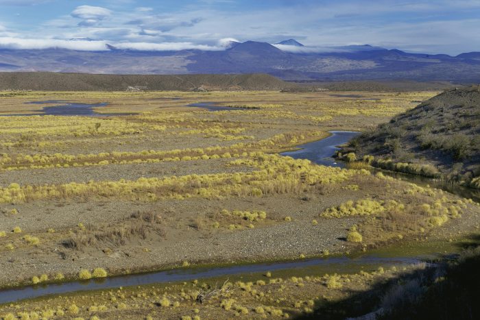 La Secretaría de Ambiente ultima detalles para candidatear a La Payunia como Patrimonio Natural de la Humanidad