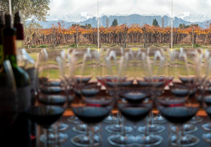 Mendoza reúne el 80% de la producción del vino de Argentina