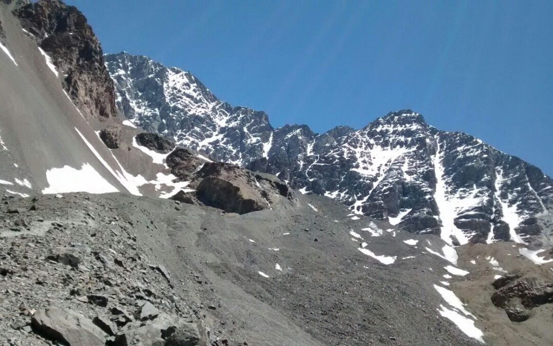 Un cóndor fue hallado muerto a causa de once perdigonazos