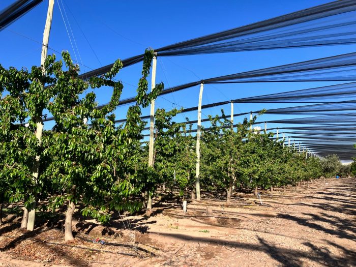 Martes con nubosidad variable y ascenso de la temperatura