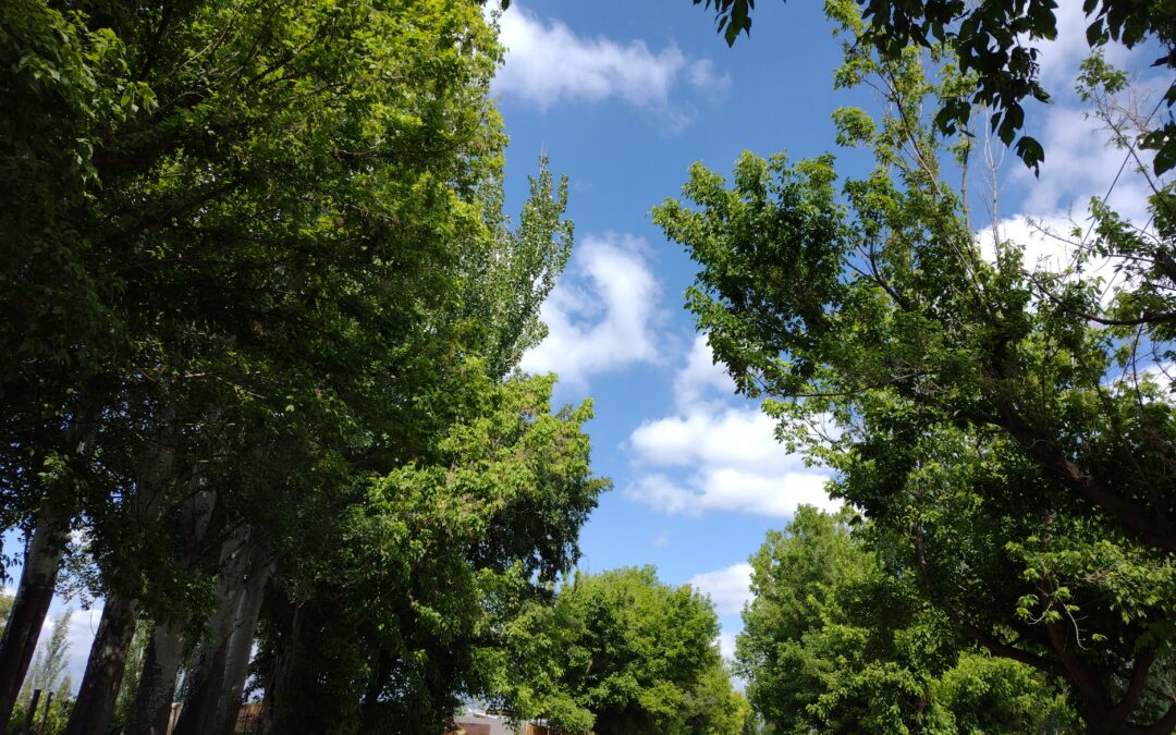 Martes con nubosidad variable y descenso de la temperatura