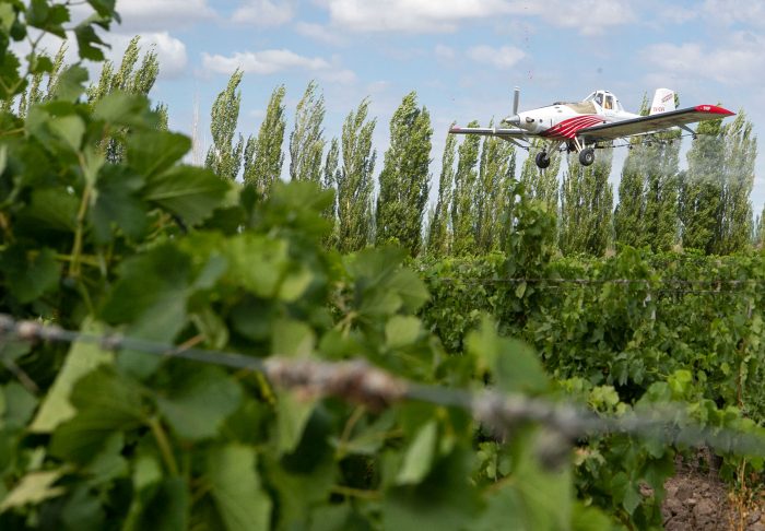 Mañana comienza el operativo aéreo para el control de Lobesia botrana en los principales oasis productivos
