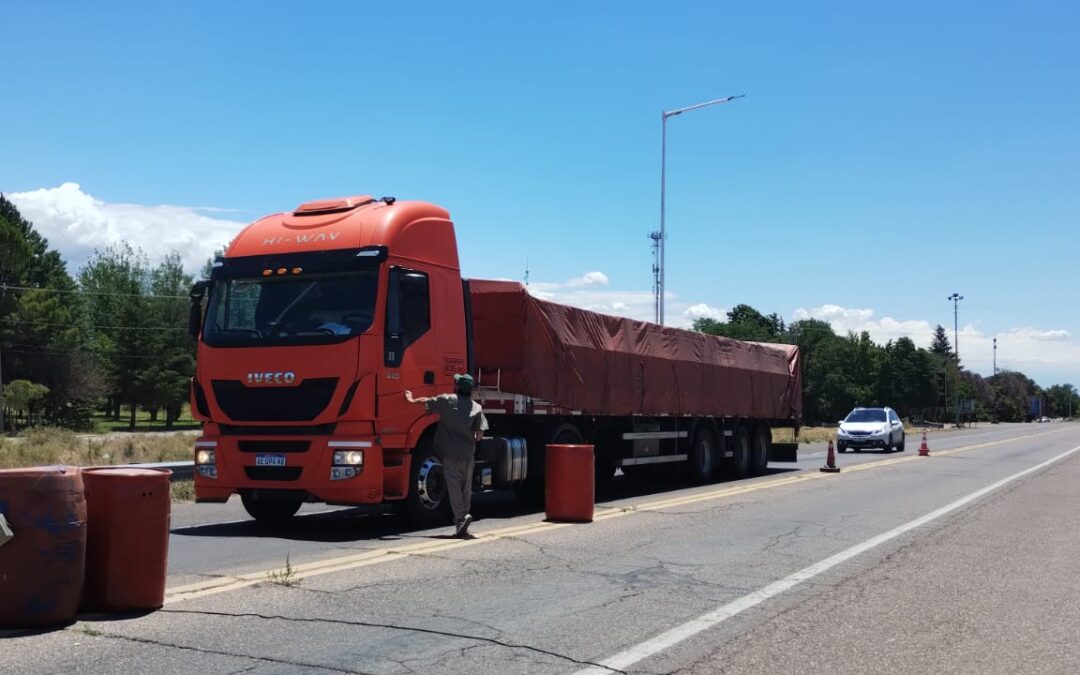 Lobesia botrana: comenzó a funcionar el puesto de control fitosanitario en Pareditas
