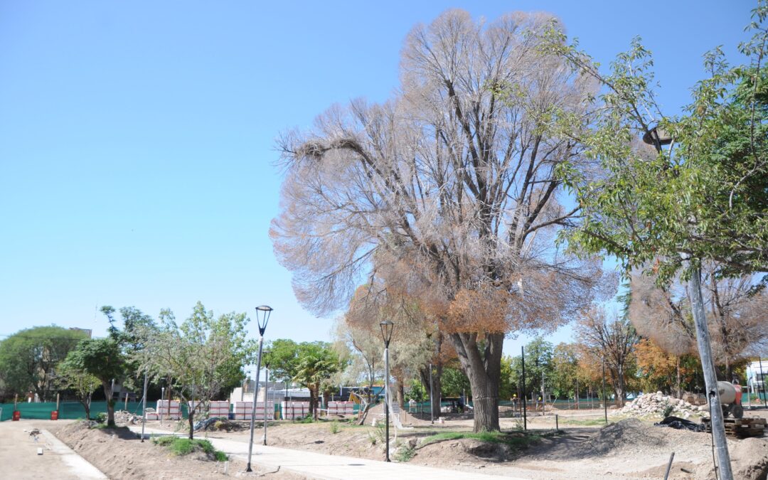 Avanza la refuncionalización de la plaza San Martín de La Consulta