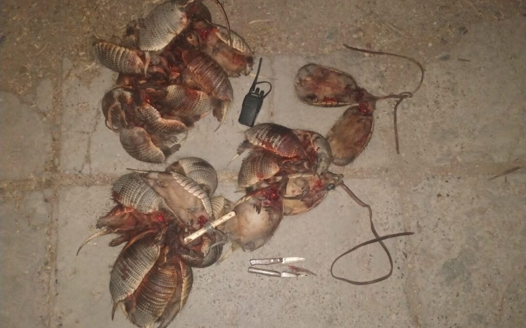 La Policía Rural detuvo a dos hombres con 30 piches