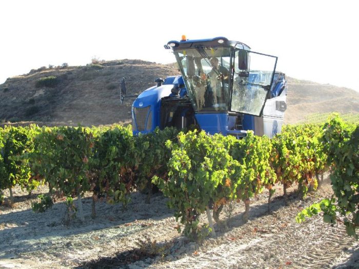 Caracterización del suelo en el Valle de Uco: un estudio crucial para la vitivinicultura