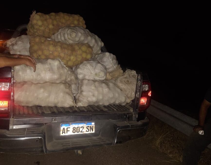Logran recuperar bolsas de duraznos que estaban siendo robada en una finca de Tupungato