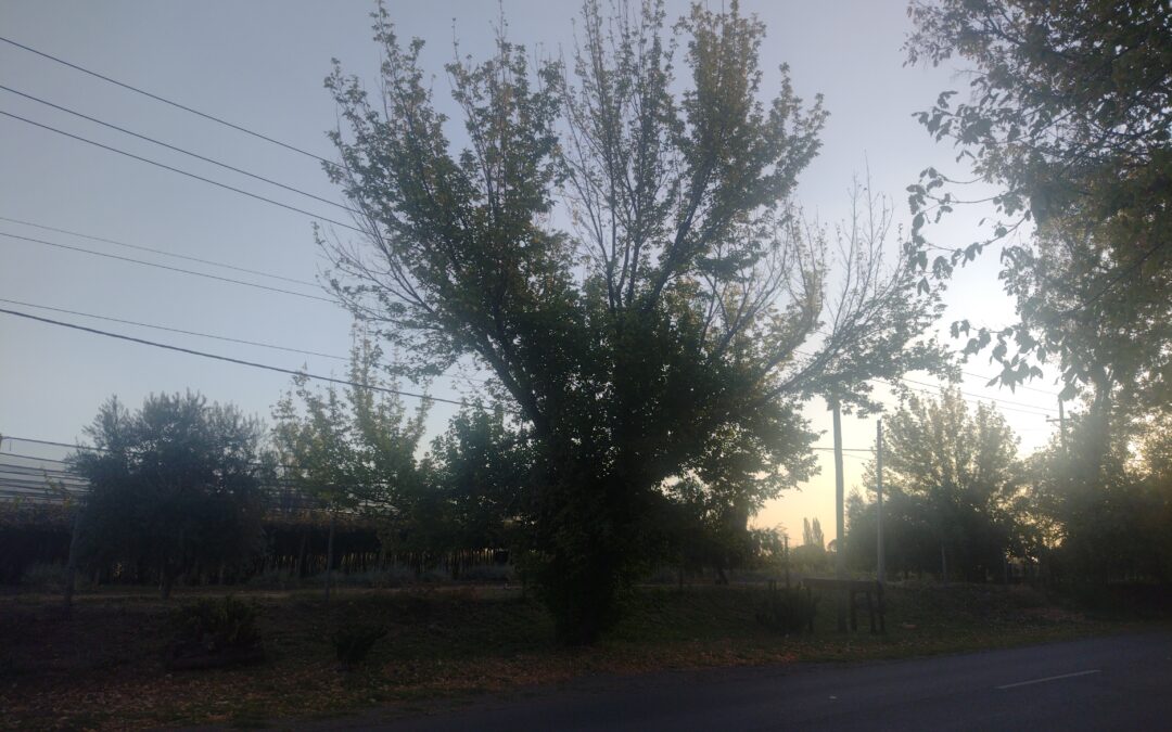 Miércoles con descenso de la temperatura en Mendoza
