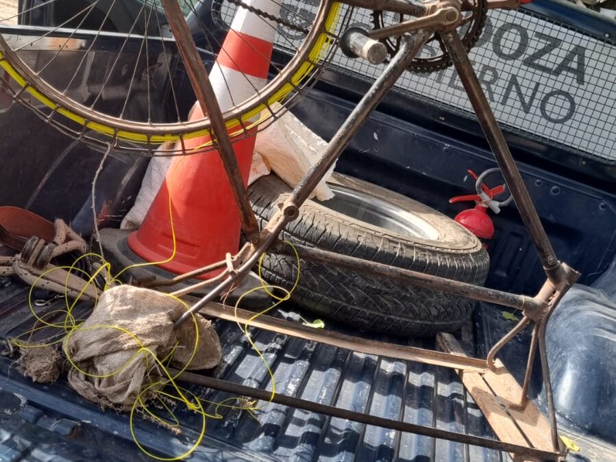 Efectivos policiales desarticularon una carrera de galgos clandestina