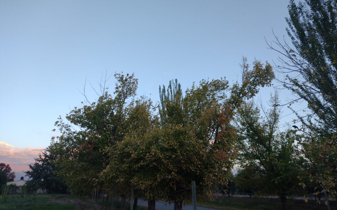 Lunes con poco cambio de la temperatura en Mendoza