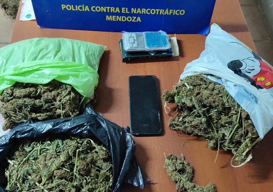 Operativos antidroga: Cuatro detenidos y decomiso de cocaína, marihuana y dinero