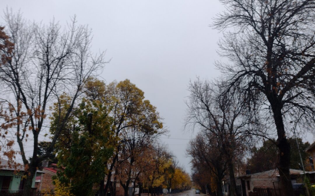 Lunes frío y con precipitaciones en la provincia de Mendoza