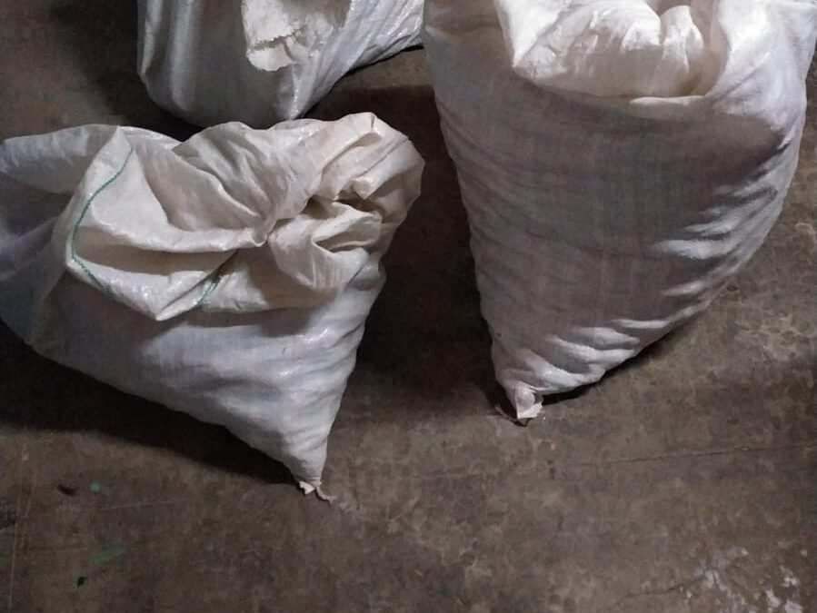 Detienen a dos hombres robando nueces en una finca de Tupungato