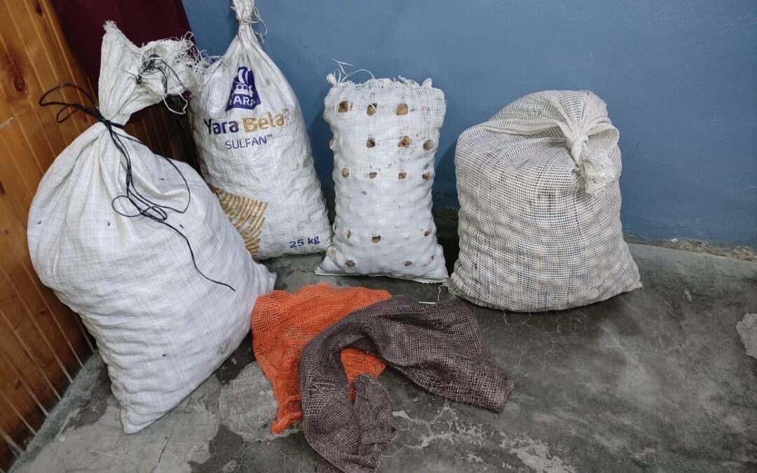 Ocho detenidos tras robar 110 kilos de nueces en Tupungato