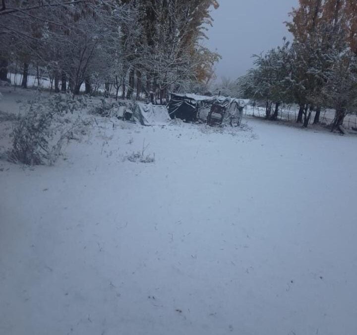 Fotos: la nieve se hizo presente en varios sectores del Valle de Uco