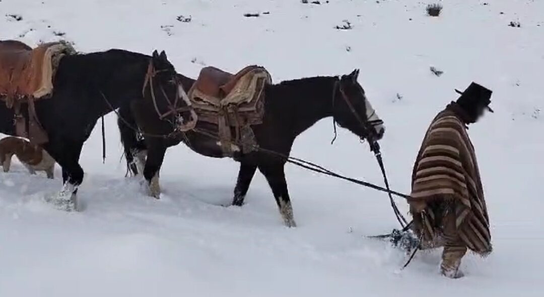 Gendarmes asisten a baqueano extraviado en la zona cordillerana