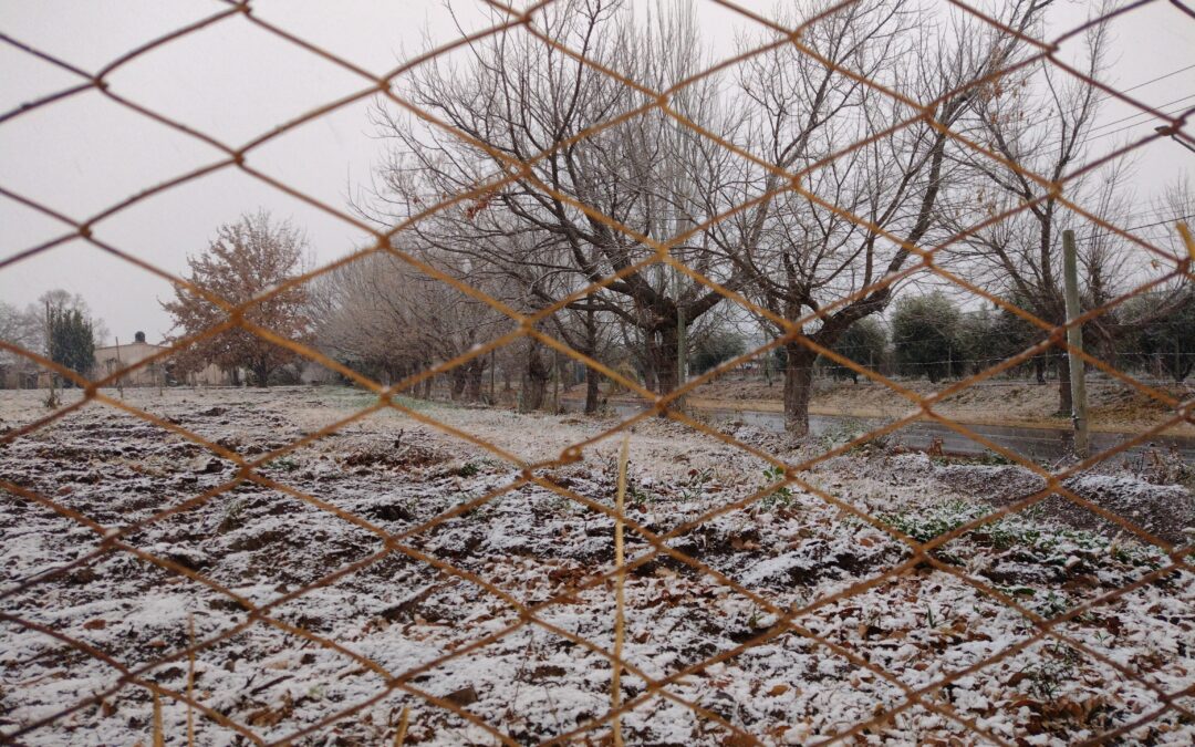 Martes nublado y con vientos leves del sudeste