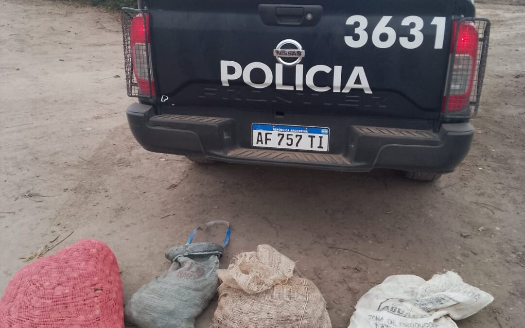 Detienen a un ladrón con válvulas de riego y nueces en Tunuyán