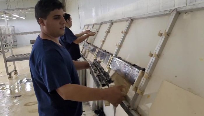 Por iniciativa de Iscamen, Argentina avanza en su postulación ante OIEA para el desarrollo del gusano barrenador del ganado