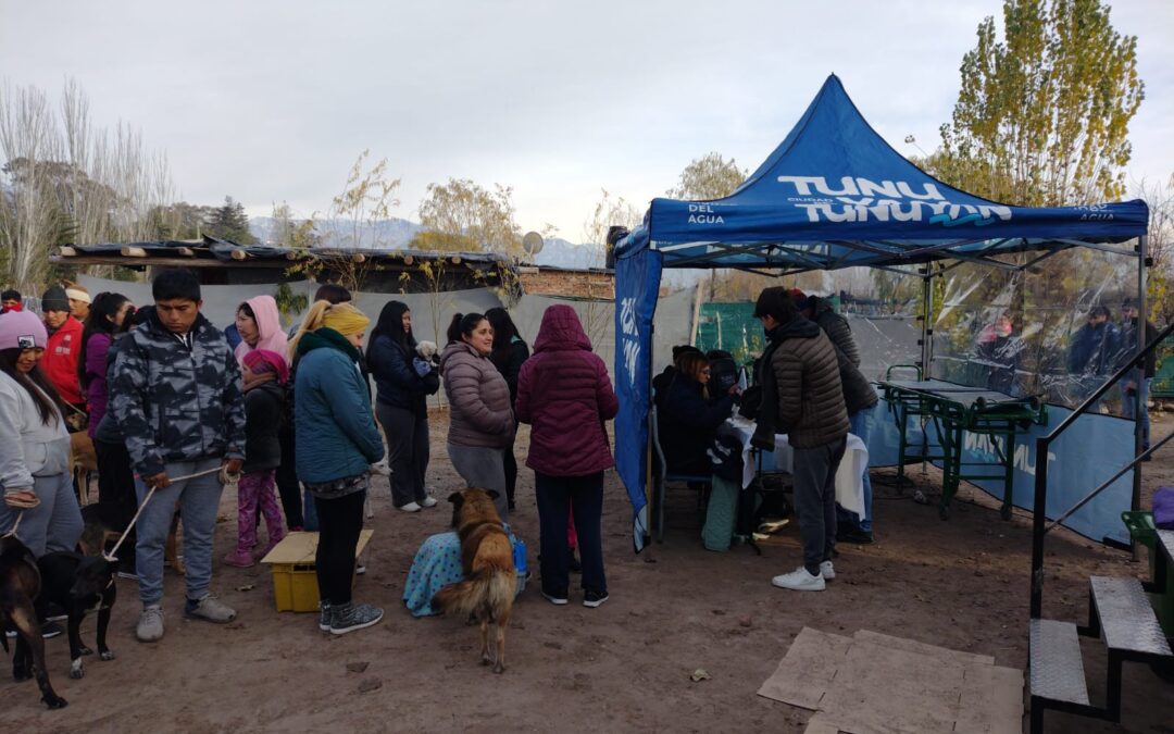 Tunuyán: comenzó el recorrido del quirófano móvil que castrará animales de forma gratuita