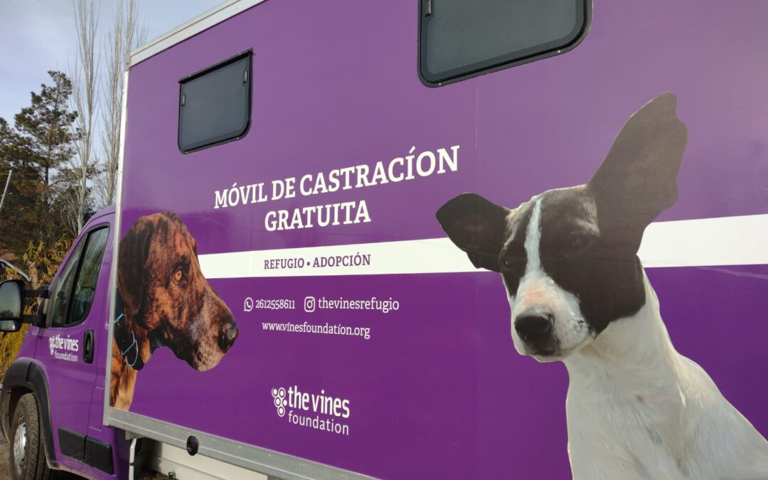 En junio continúa el operativo de castración gratuita en Tunuyán