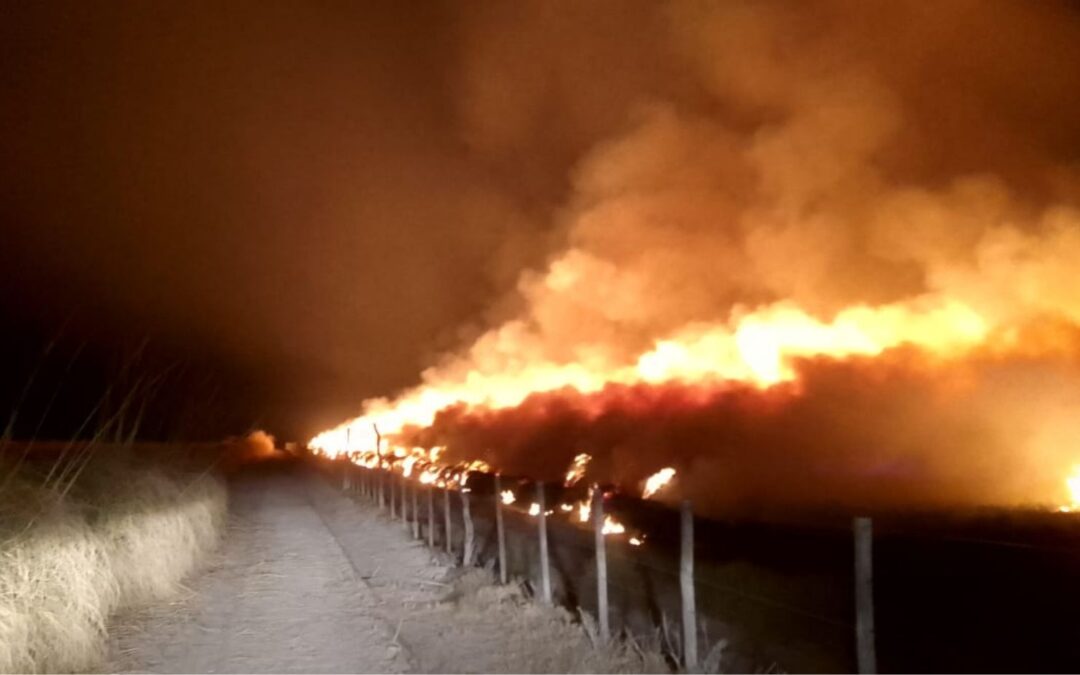 Continúan los trabajos para combatir el incendio de Los Parlamentos en San Rafael