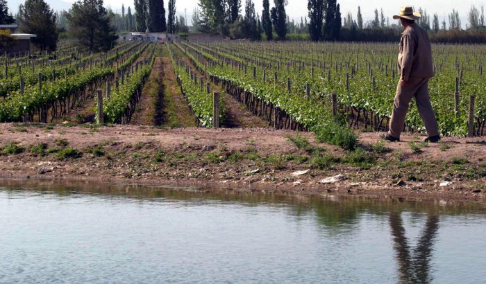 Atentos productores: informan que es la última semana para inscribirse o renovar el RUT