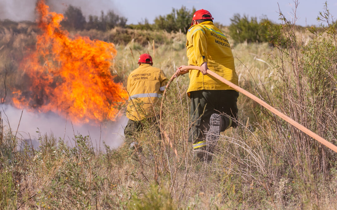 Efemérides: 2 de junio, día del Bombero Voluntario