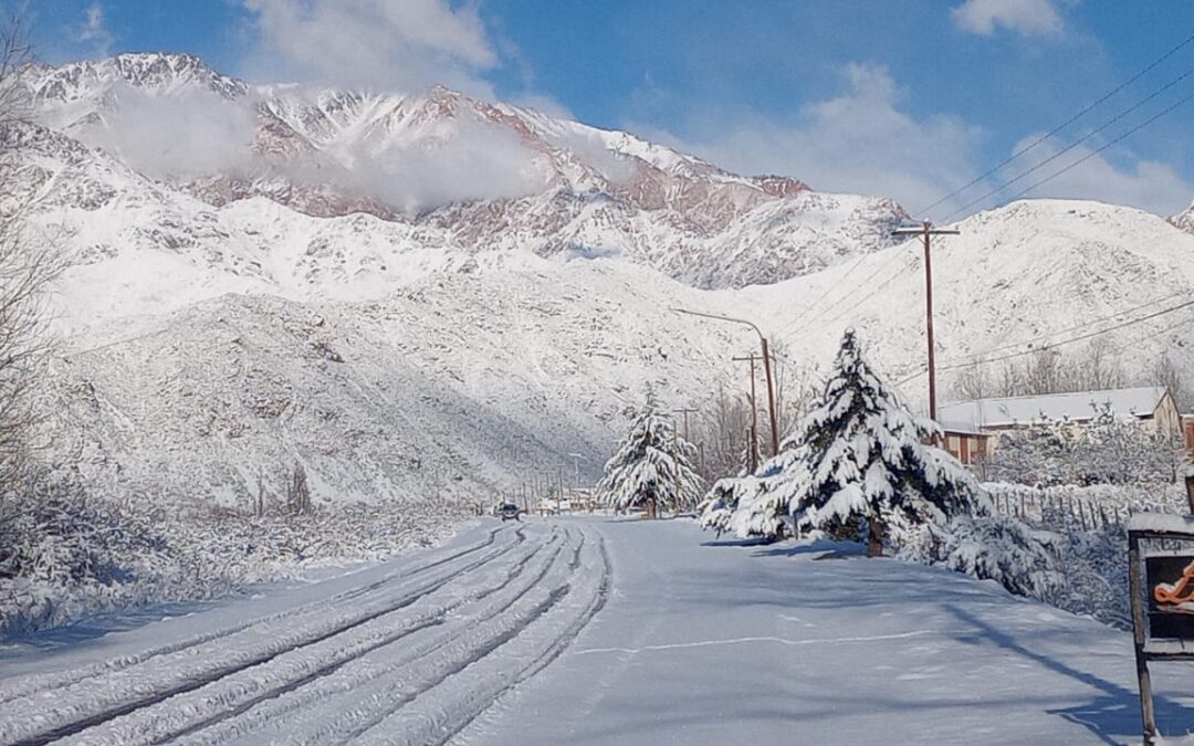 El Manzano Histórico amaneció blanco y enamoró con sus postales