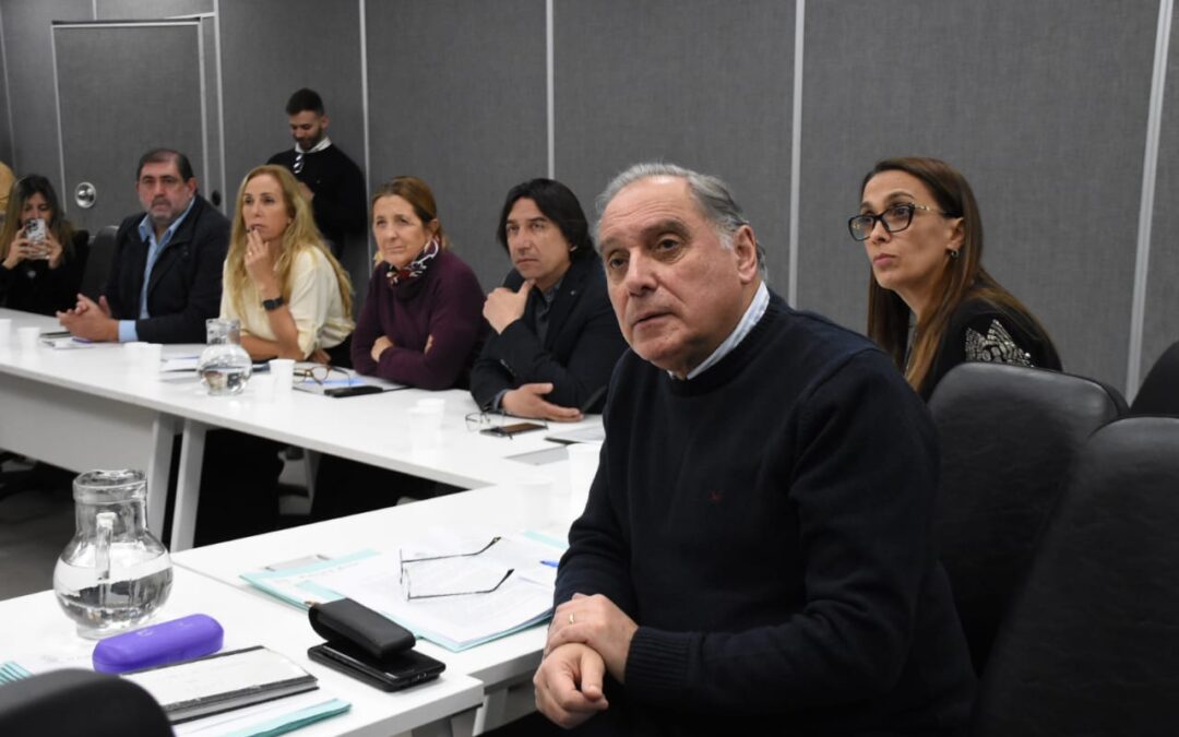 Mendoza: buscan avanzar en un protocolo para mejorar la atención de personas con discapacidad