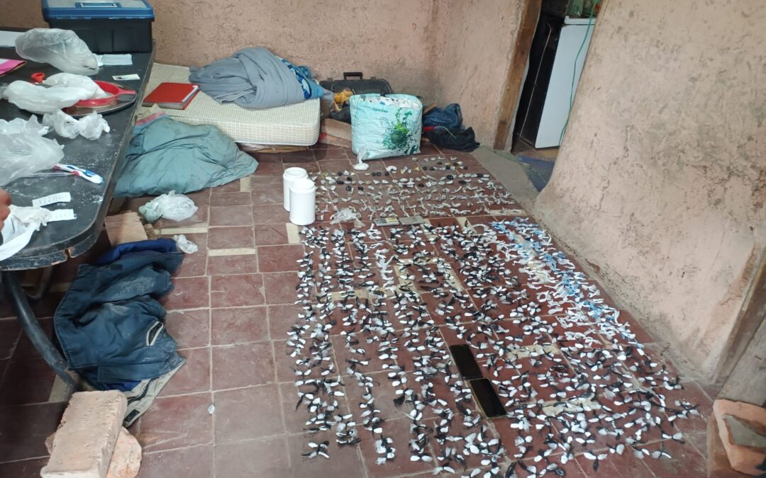 La Policía de Mendoza logra desarticular un bunker de drogas 