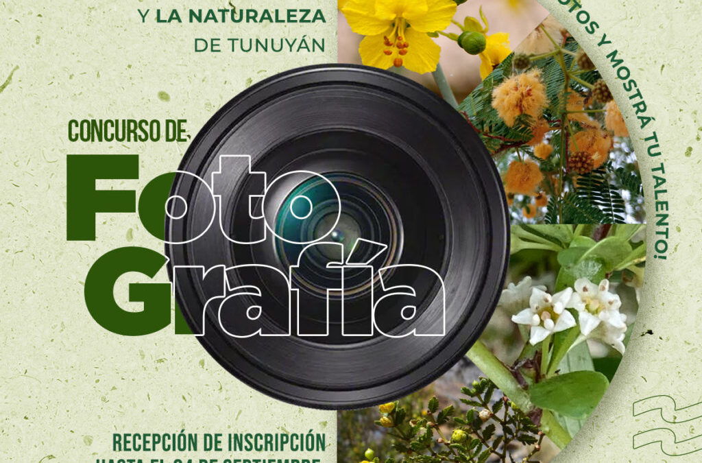 Atentos fotógrafos: lanzan el concurso Retrato del Árbol en Tunuyán