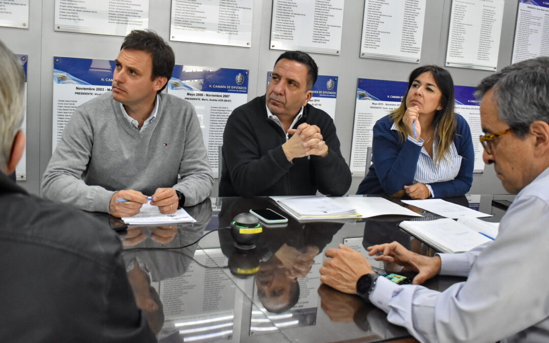 Diputados acuerdan para la expropiación de terreno en Tupungato