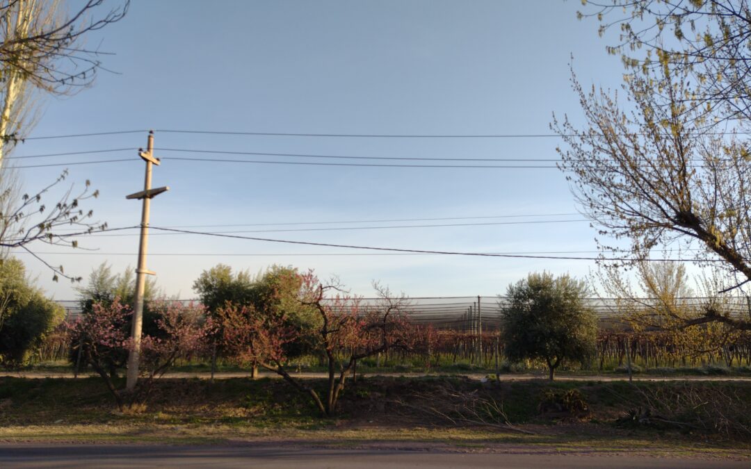 Jueves con poco cambio de la temperatura en la provincia de Mendoza