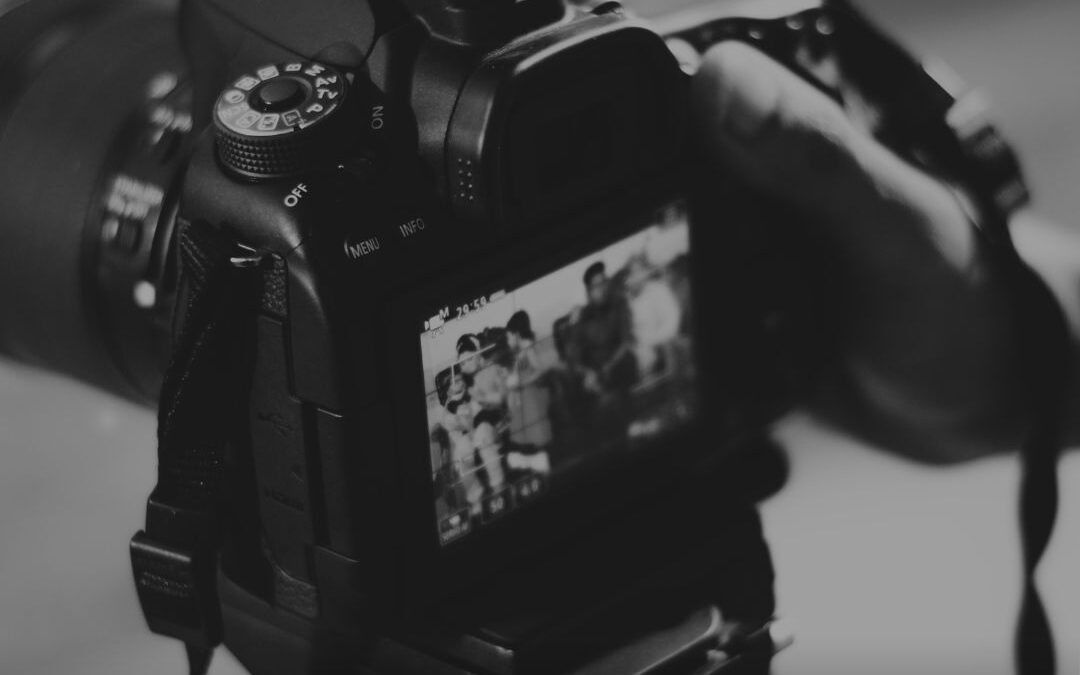 Último día para participar del concurso fotográfico “Retrato del Árbol”