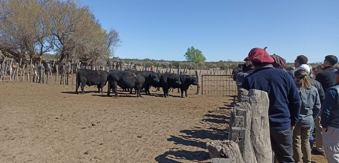 Mendoza fue sede de una importante jornada de precisión ganadera en General Alvear