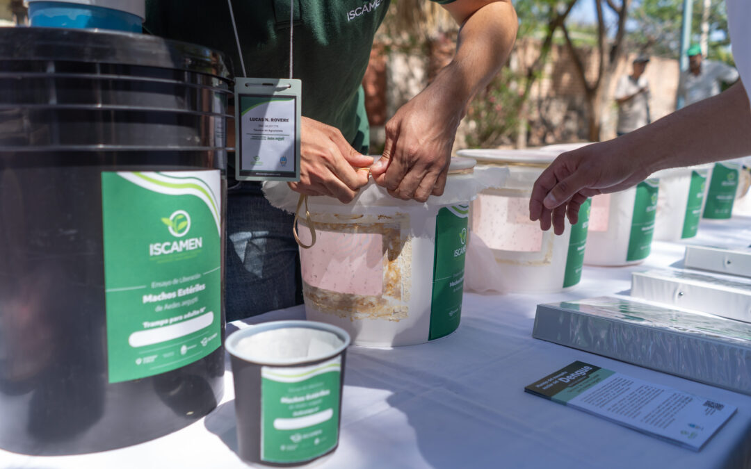El Iscamen finalizó la primera etapa de ensayos de liberación de mosquitos estériles de Aedes aegypti