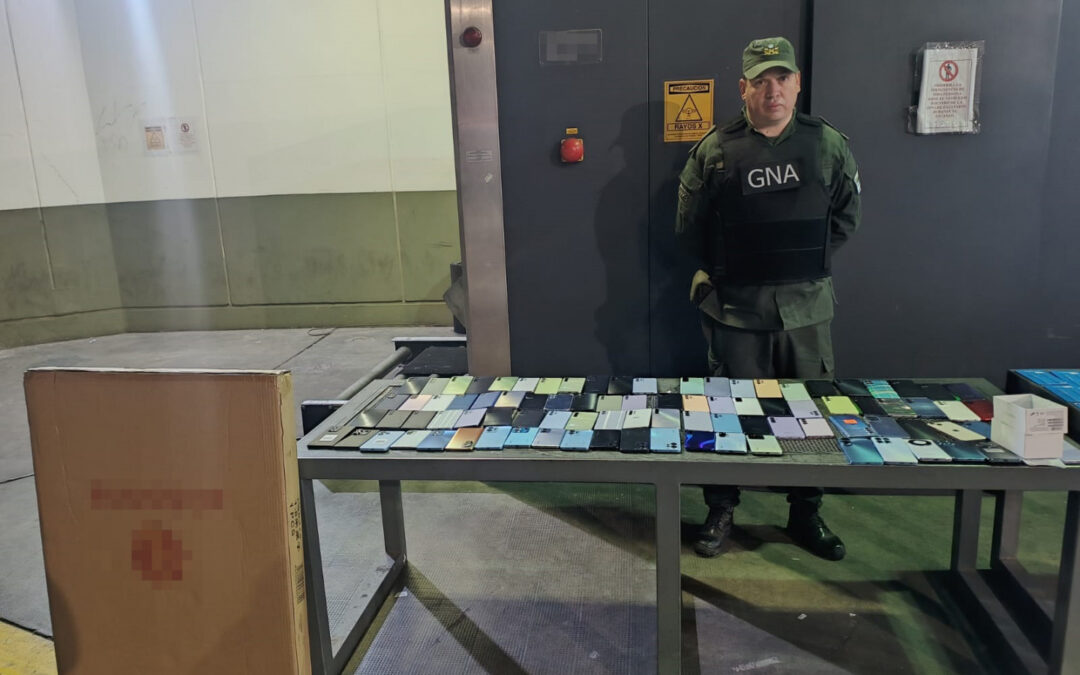 Detectaron en Mendoza mercadería de contrabando con un avalúo que supera los 22 millones de pesos