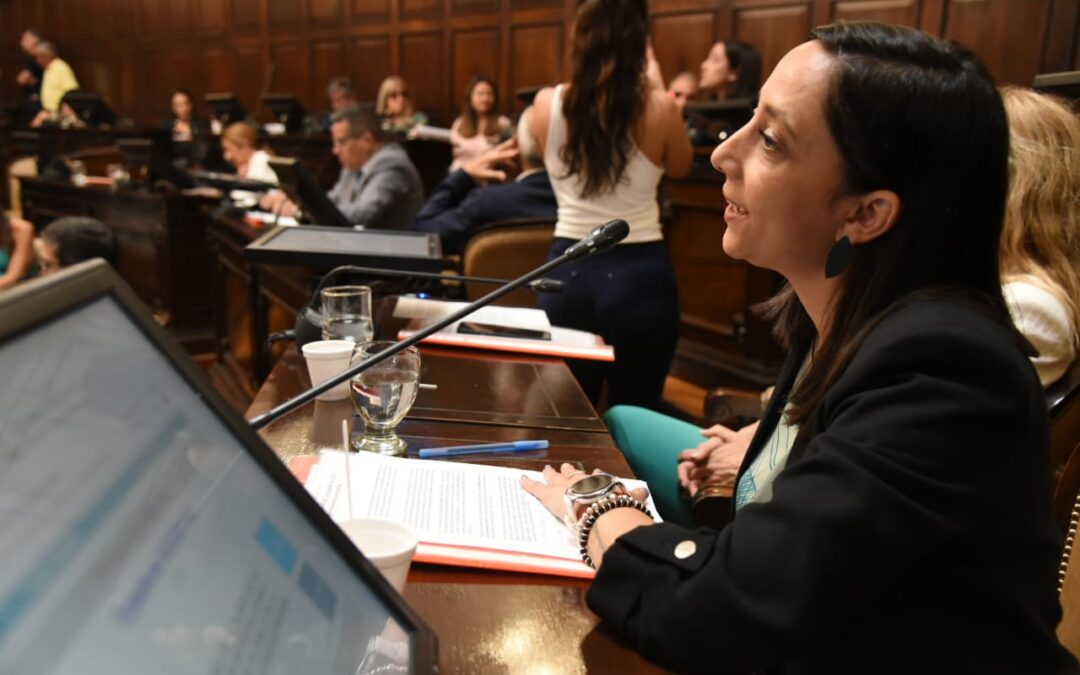 El Senado aprobó el proyecto de ficha limpia para docentes y personal educativo en Mendoza