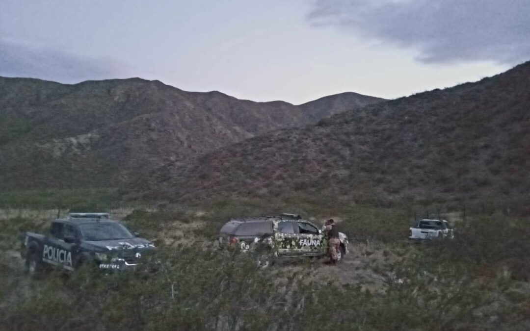 Cazadores furtivos mataron guanacos y amenazaron a guardaparques en la reserva Villavicencio