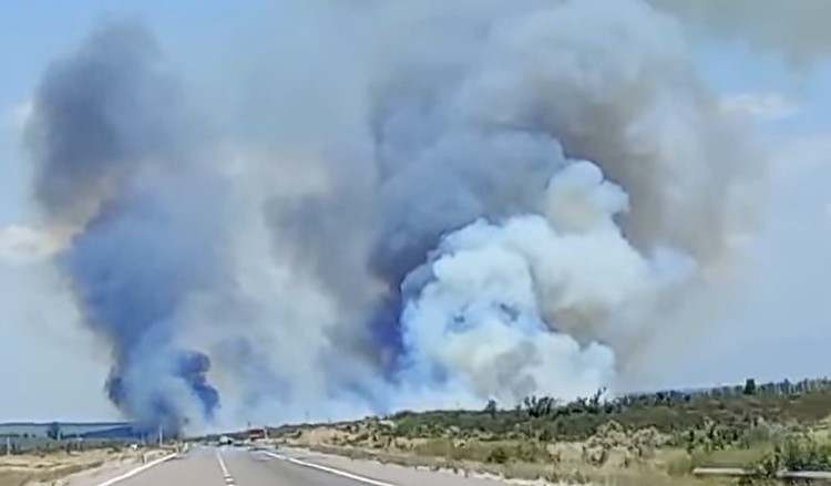 Zapata: se incendió un campo inculto cerca de la Playa de Secuestro de la Policía Vial