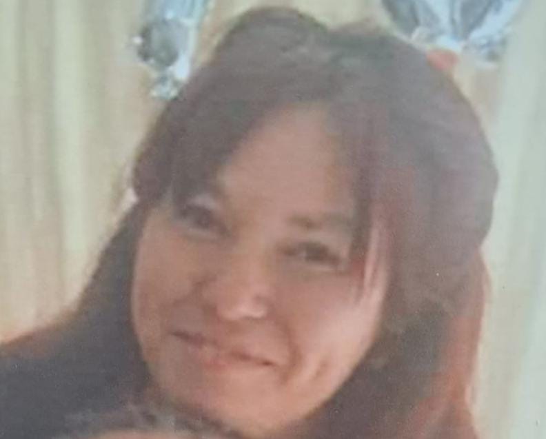 Tupungato: buscan a una mujer que desapareció a mediados de diciembre