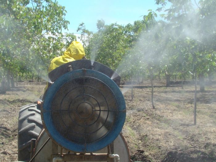 Productores afectados por contingencias climáticas pueden acceder a créditos blandos para financiar tareas de campo