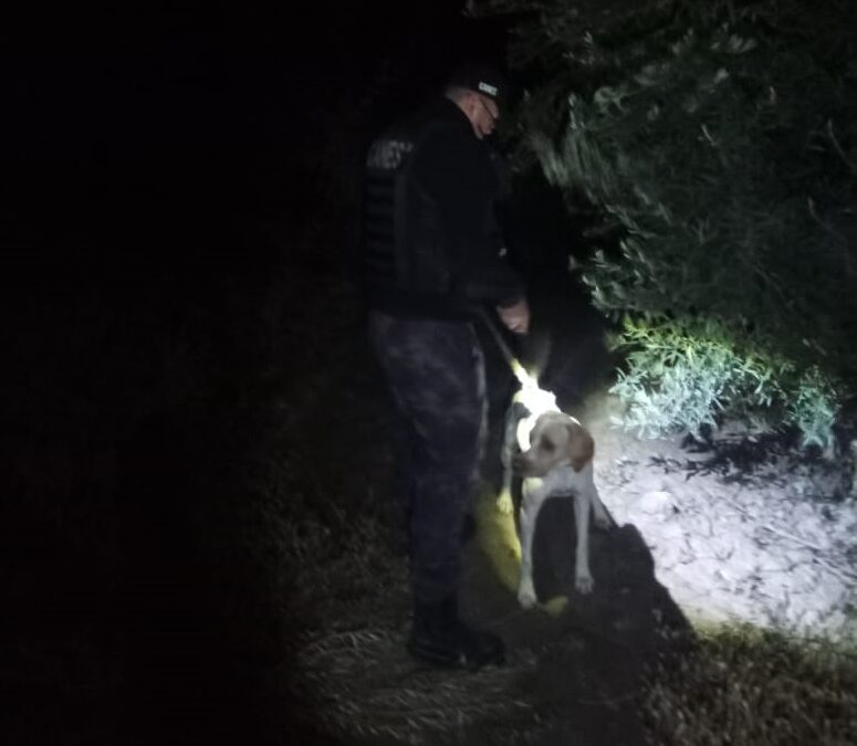 “Fito”, el can policial que recuperó aceitunas robadas en Rivadavia