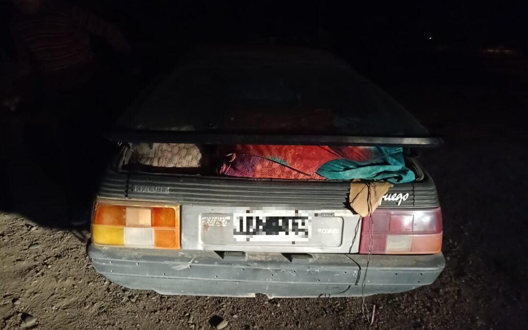 Cuatro detenidos y una importante cantidad de kilos de nueces fueron secuestradas en Tupungato