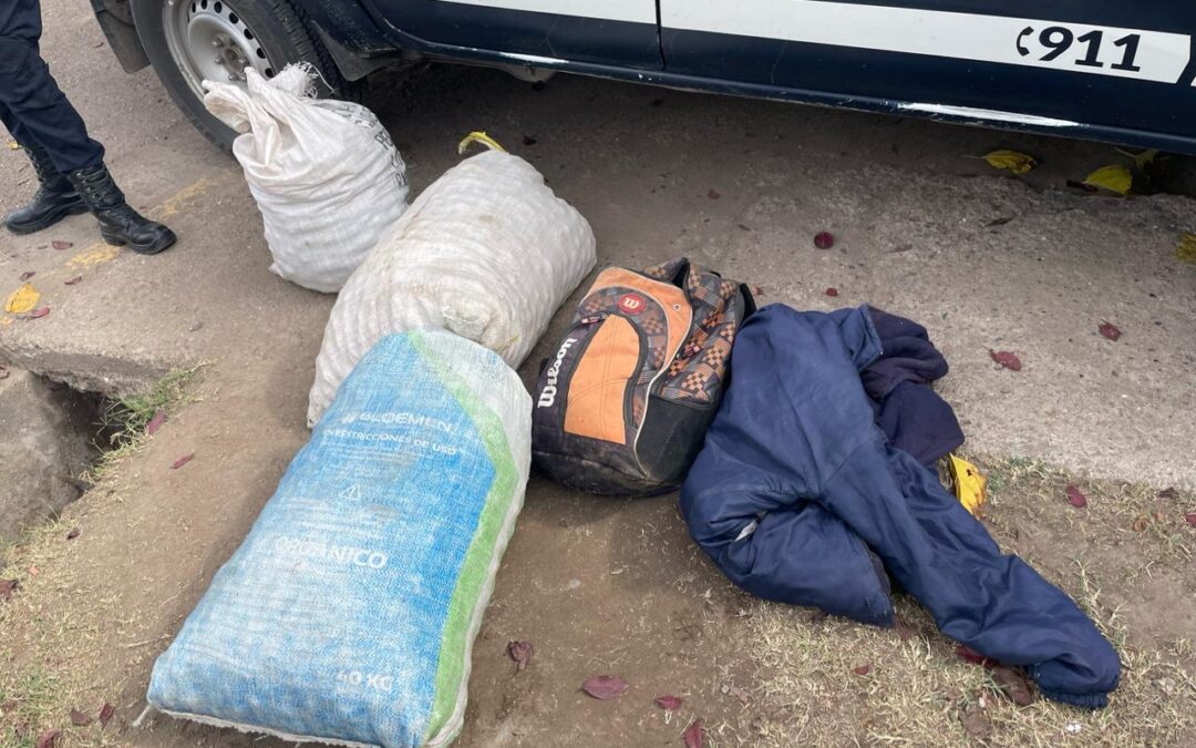 Ocho detenidos tras el robo de nueces en el departamento de Tupungato