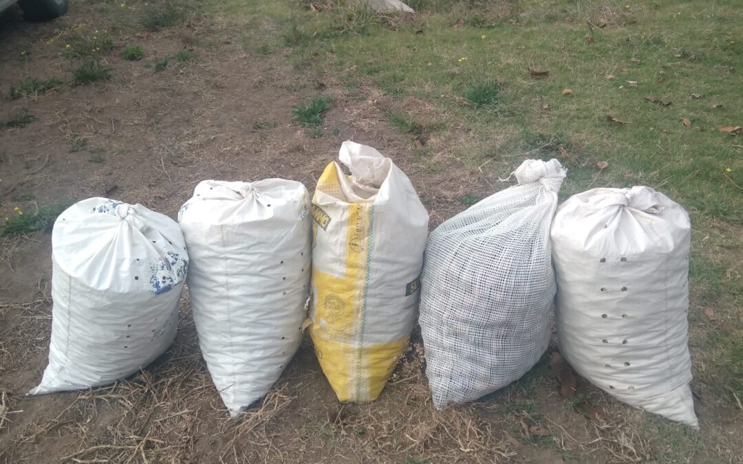 La Policía de Mendoza recuperó dos motos y secuestró 120 kilos de nueces robadas en Tupungato