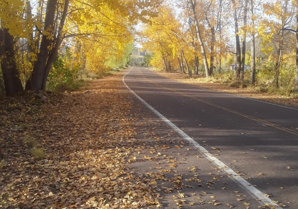 Miércoles con mínima variación en la temperatura en Mendoza