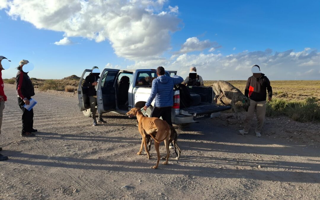 Un joven fue detenido por abigeato en San Carlos